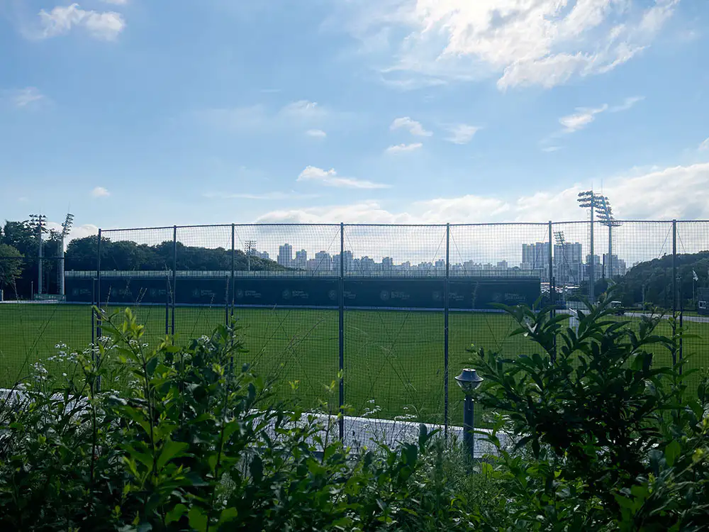김포 FC 솔터 축구장 보조 경기장