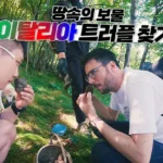 빠니보틀과 이탈리아 여행 5편 표지