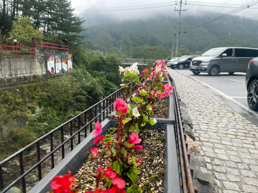 카페 아라미스 꽃과 산