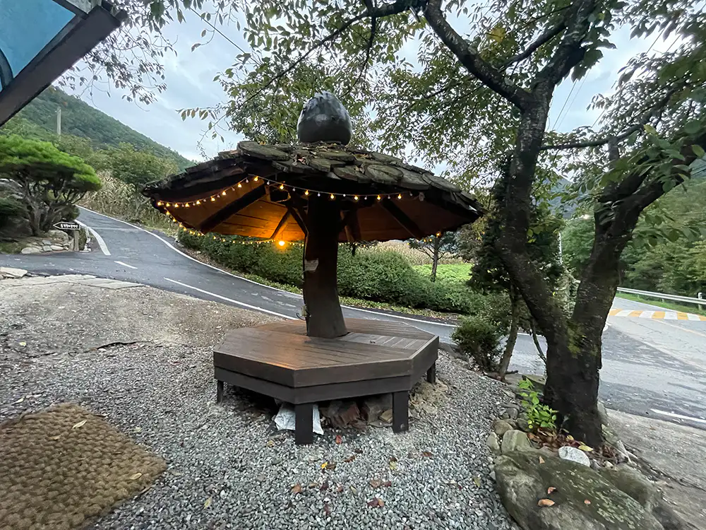 정선 동강 할미꽃 펜션 정자