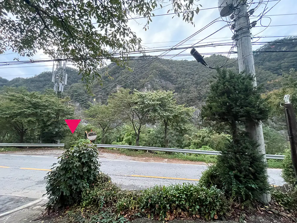 정선 동강 할미꽃 펜션에서 계곡 가는 길