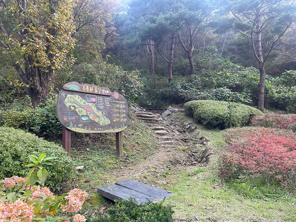 강화 석모도 수목원 숲길