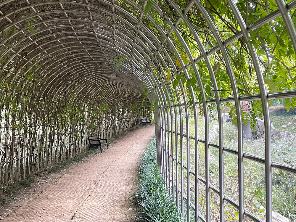 강화 석모도 수목원 장미 터널 길