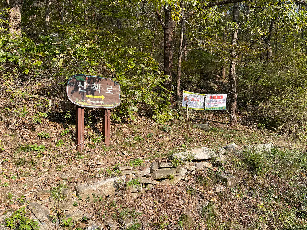 강화 석모도 수목원 산책로