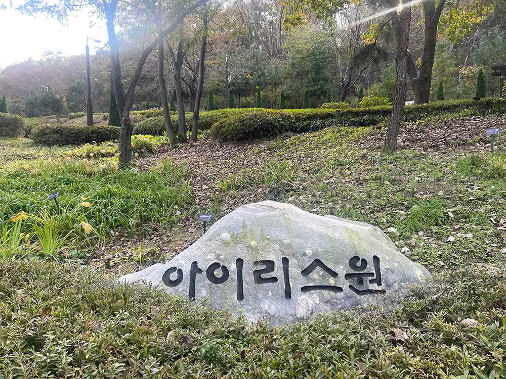 강화 석모도 수목원 아이리스 원