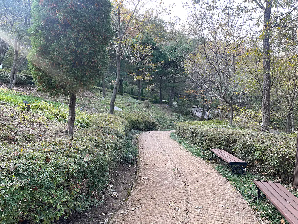 강화 석모도 수목원 아이리스원 앞 길