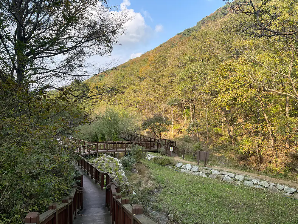 강화 석모도 수목원 데크 길