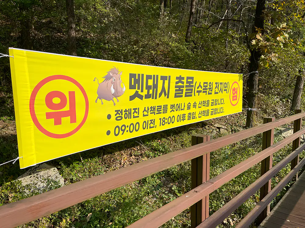강화 석모도 수목원 멧돼지 조심 현수막
