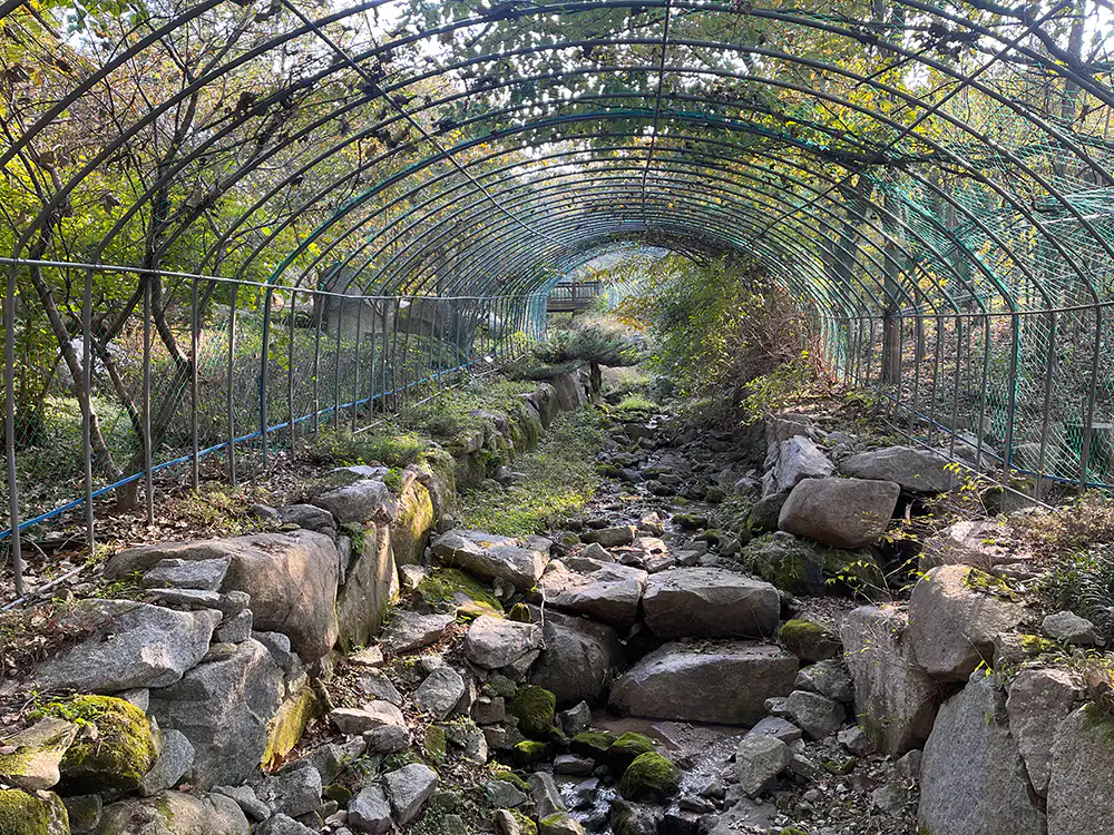 강화 석모도 수목원 계곡과 장미