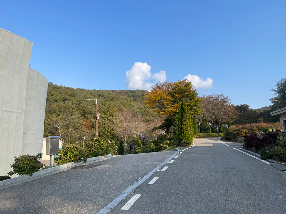 강화 석모도 수목원 뒷 모습