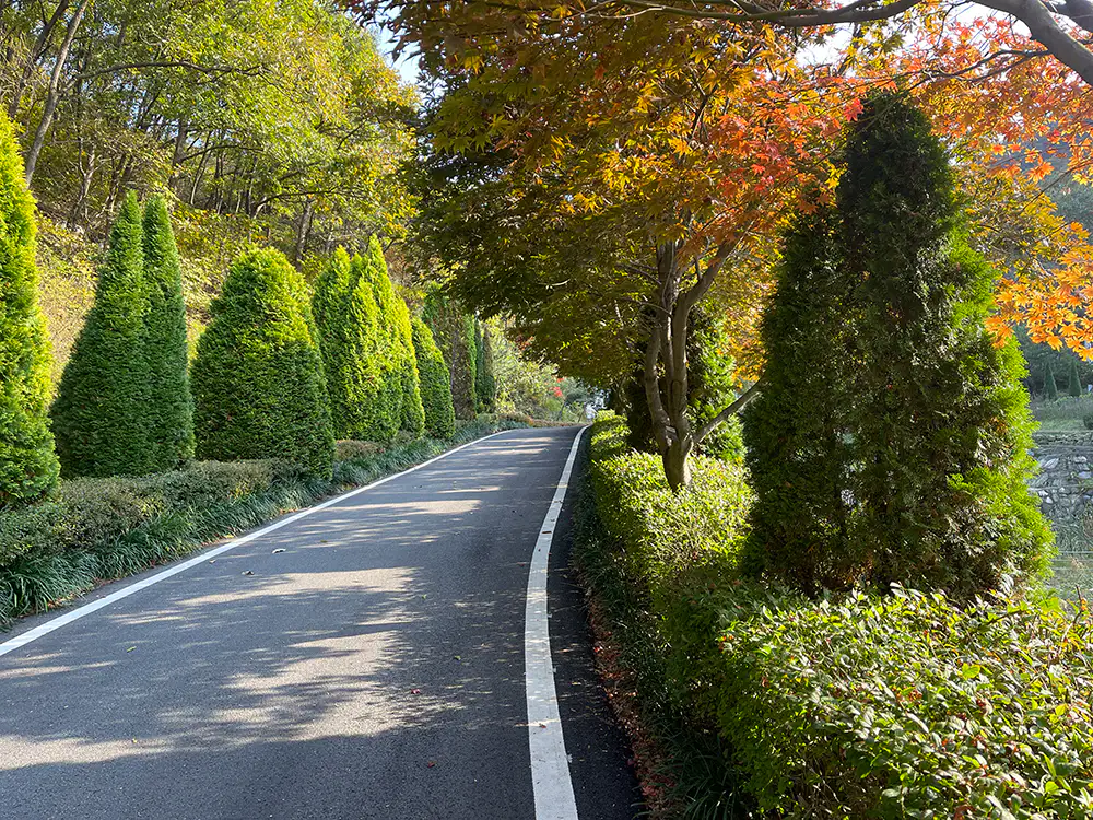 강화 석모도 수목원 입구 길