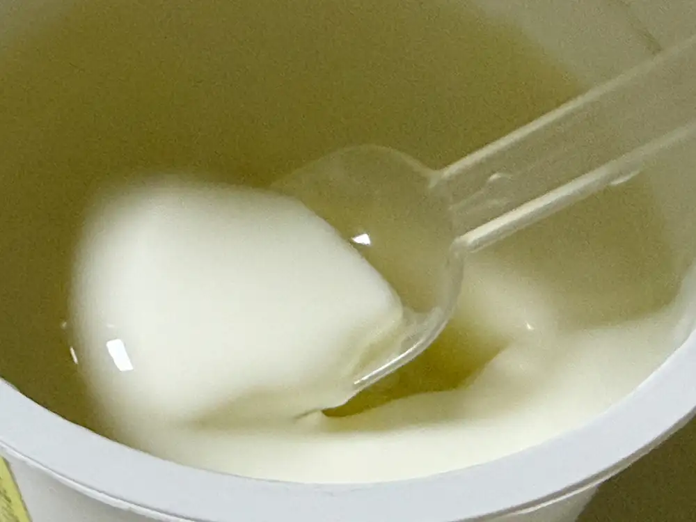 쟈지 푸딩 모습