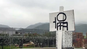 파주 적성면 천연 발효종 쌀빵