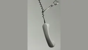 자영업자 보이스 피싱