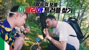 빠니보틀과 이탈리아 여행 5편 표지